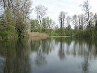 Weiher und Teiche