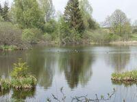 Weiher
