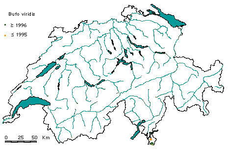 Verbreitung Wechselkröte, bufo viridis, Schweiz